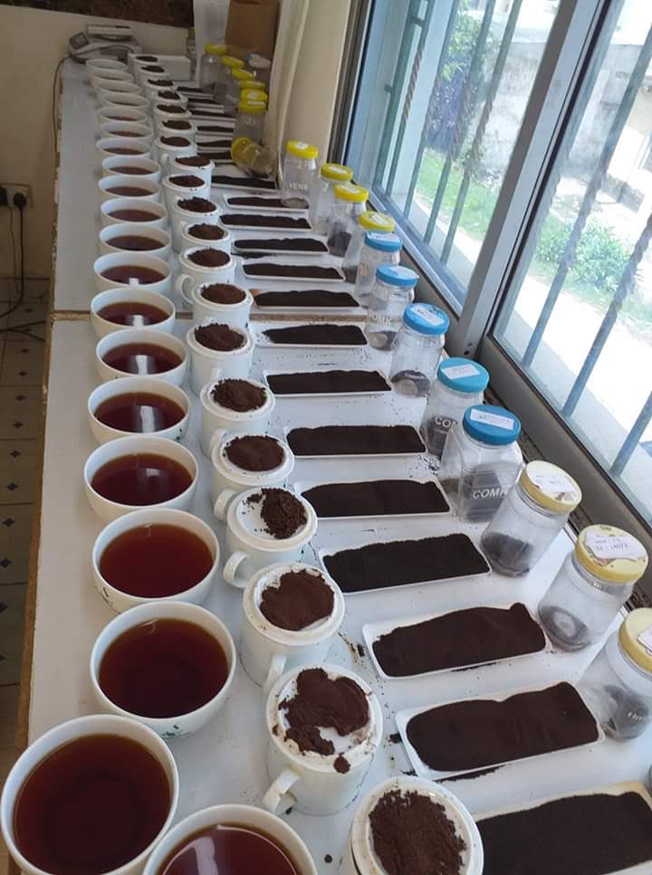 Tea Packaging Companies In Kenya