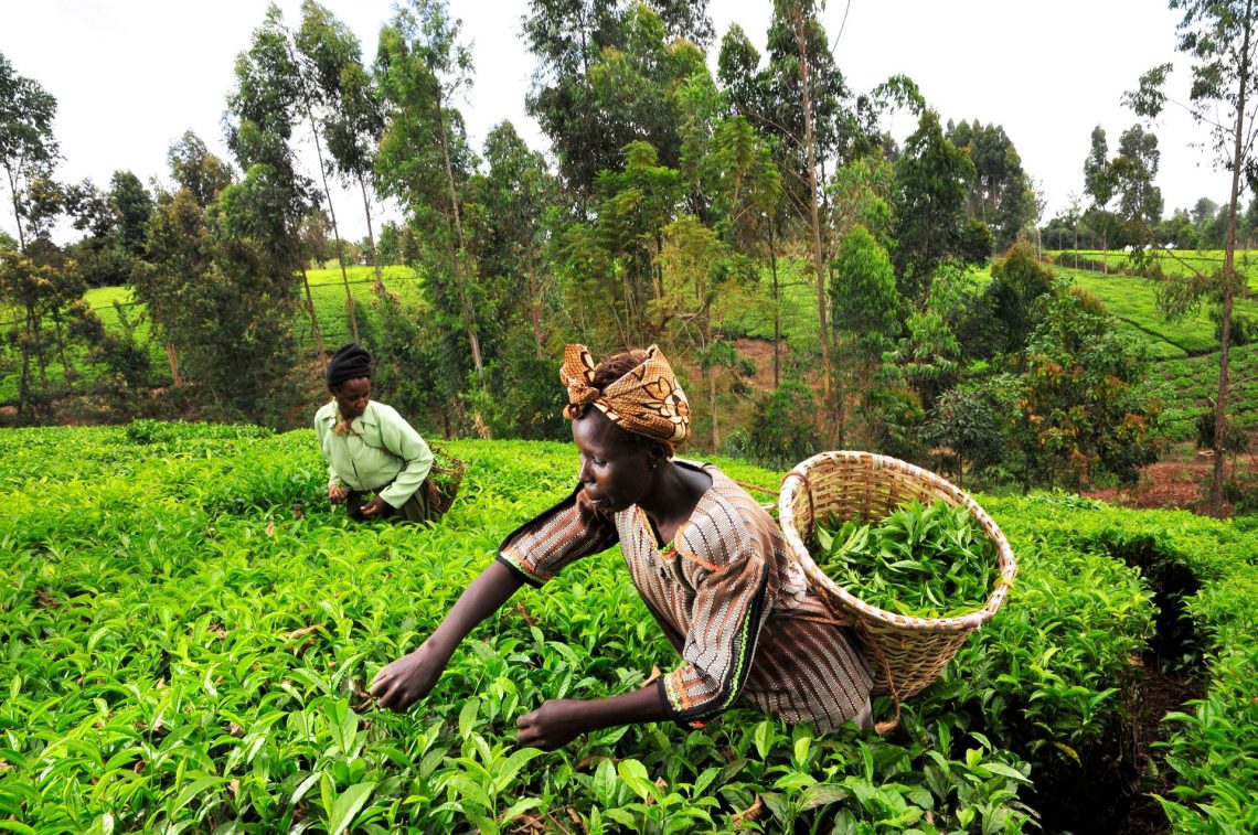 Corporate Social Responsibility