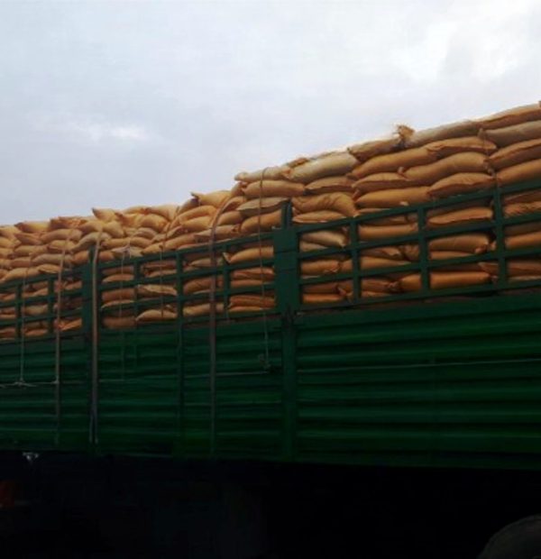 Tea Transportation and Logistics